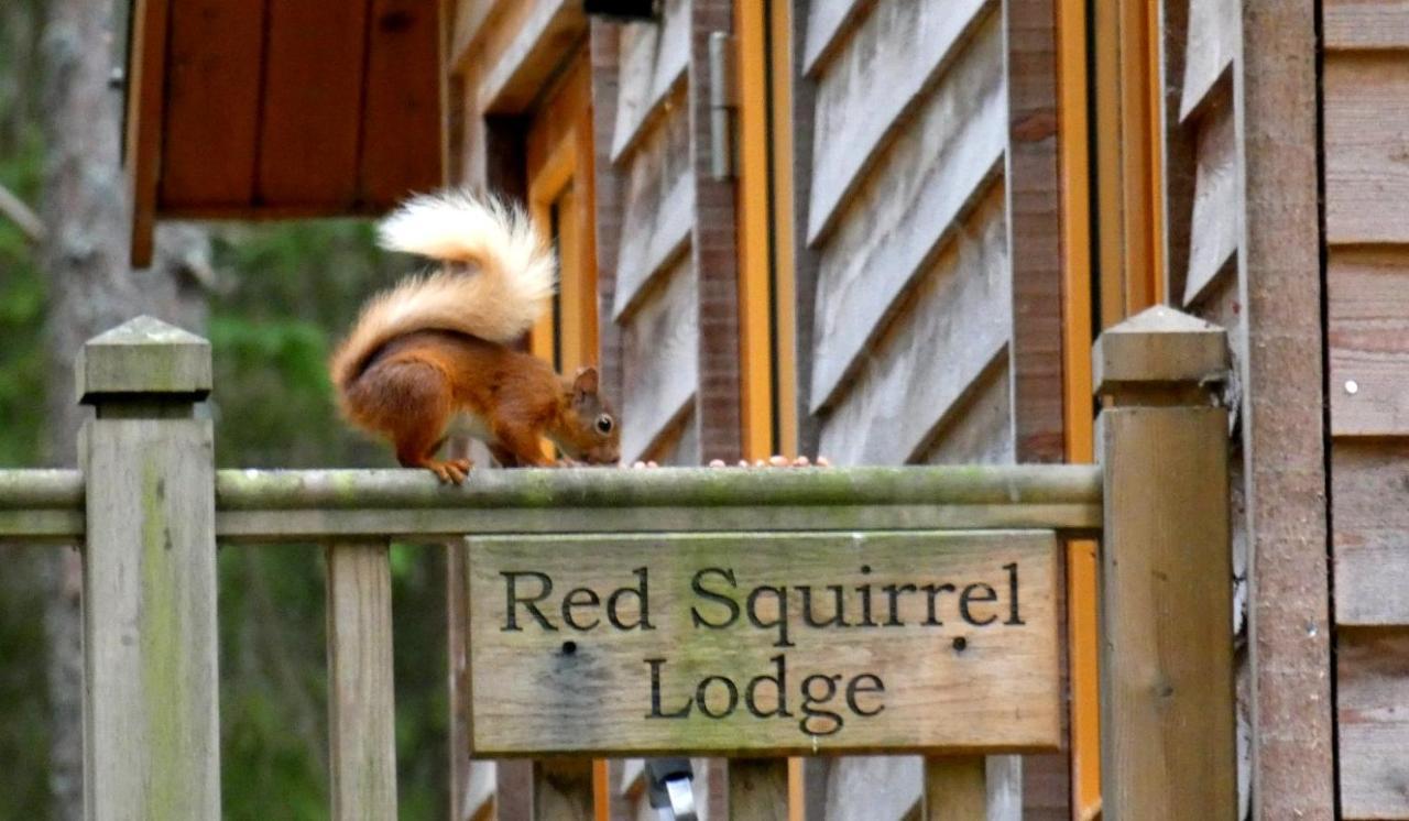 Cairngorm Lodges Aboyne Kültér fotó