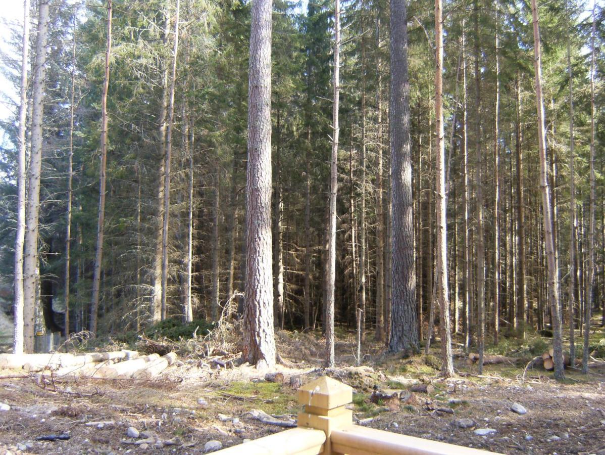 Cairngorm Lodges Aboyne Kültér fotó