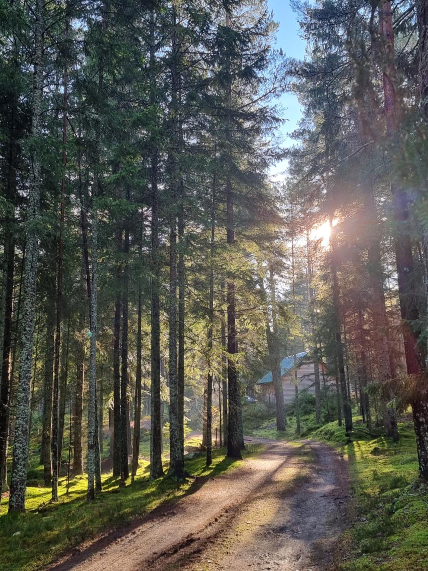 Cairngorm Lodges Aboyne Kültér fotó