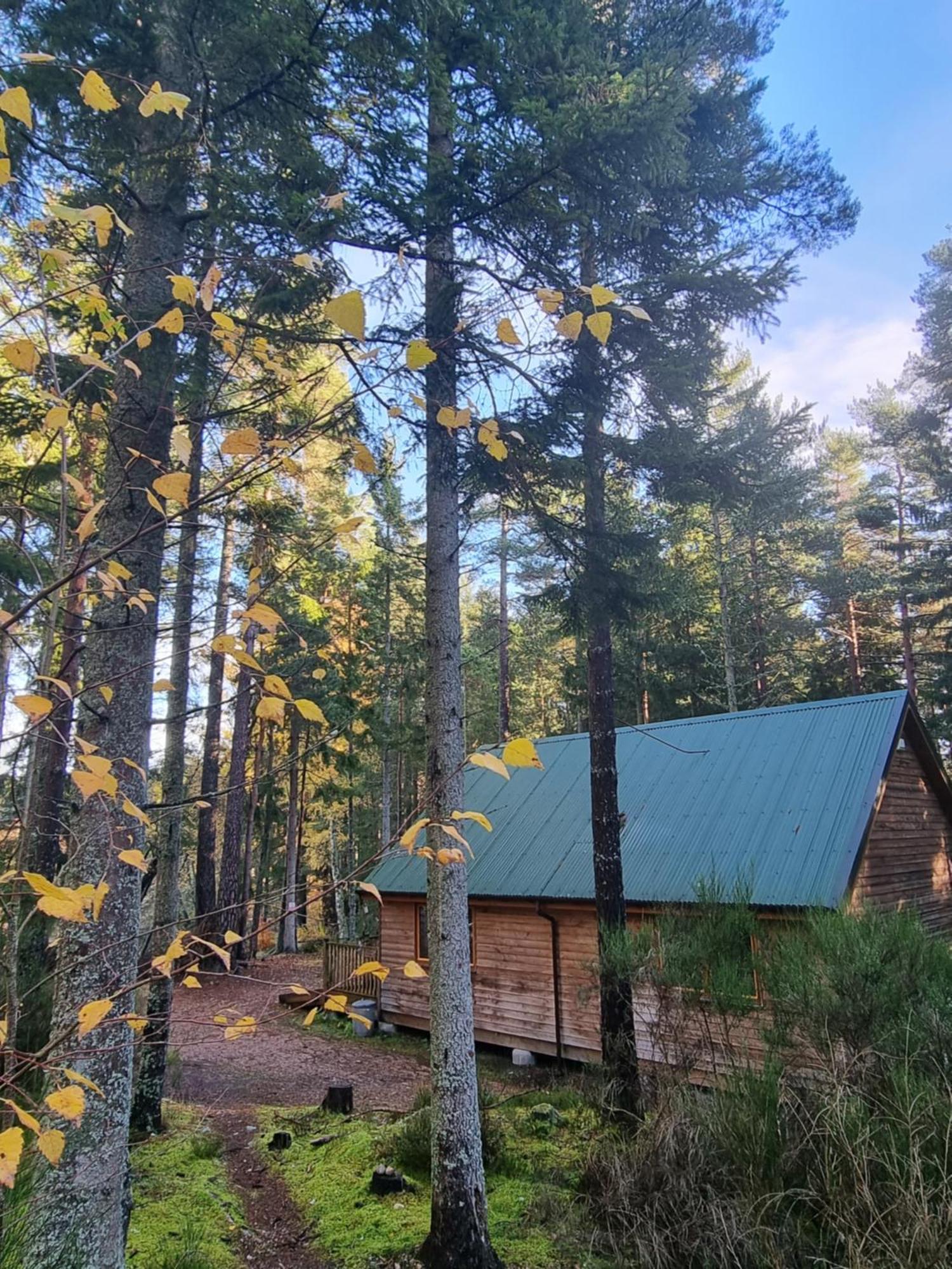 Cairngorm Lodges Aboyne Kültér fotó